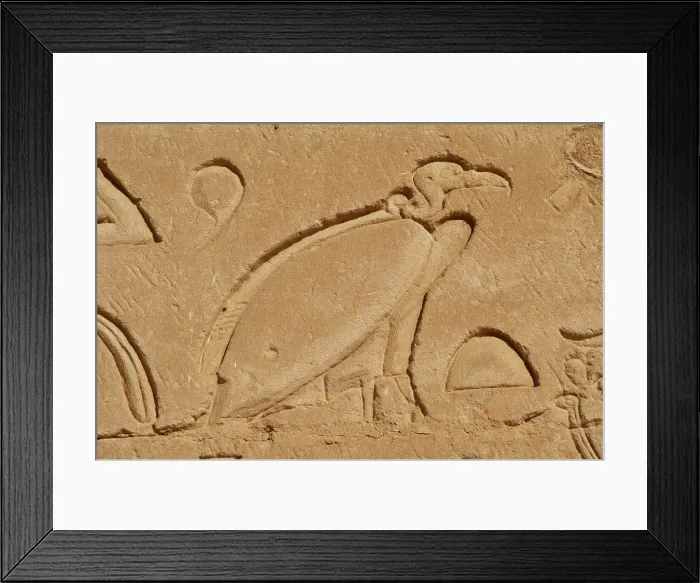 Framed Print : Vulture relief, Temple of Horus, Edfu, Egypt, 3rd century BC (2003). Creator: Unknown Framed Print : Vulture relief, Temple of Horus, Edfu, Egypt, 3rd century BC (2003). Creator: Unknown