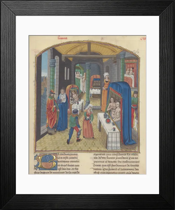 Framed Print : The baths of Sergius Orata. Miniature from Valerius Maximus, 15th century. Creator: Anonymous master Framed Print : The baths of Sergius Orata. Miniature from Valerius Maximus, 15th century. Creator: Anonymous master