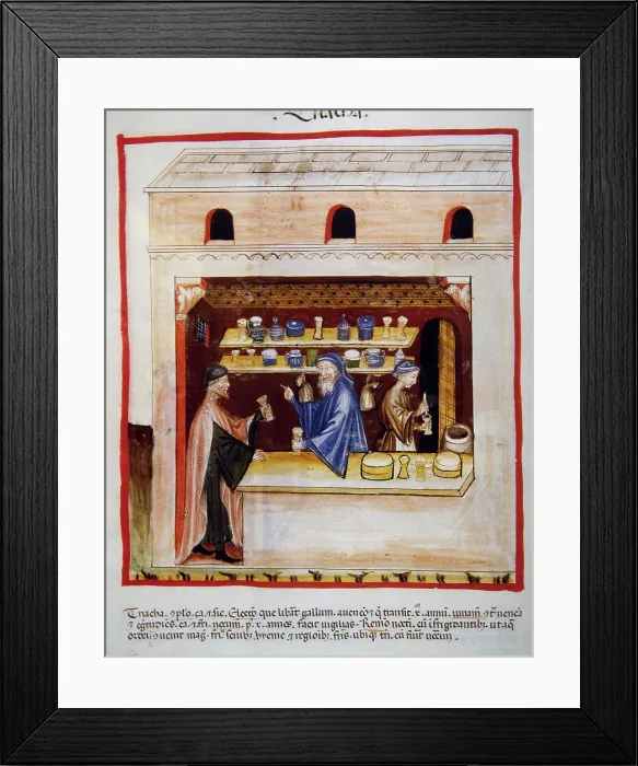 Framed Print : Thiriaque, 14th century. Creator: Unknown Framed Print : Thiriaque, 14th century. Creator: Unknown