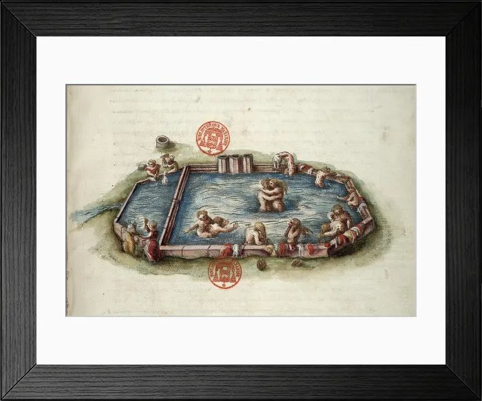 Framed Print : Bains de Bourbon-l'Archambault. Miniature from Generale description du pais et... 1561-1574. Creator: Anonymous master. Bains de Bourbon-l'Archambault. Miniature from Generale description du pais et... 1561-1574 Framed Print : Bains de Bourbon-l'Archambault. Miniature from Generale description du pais et... 1561-1574. Creator: Anonymous master. Bains de Bourbon-l'Archambault. Miniature from Generale description du pais et... 1561-1574
