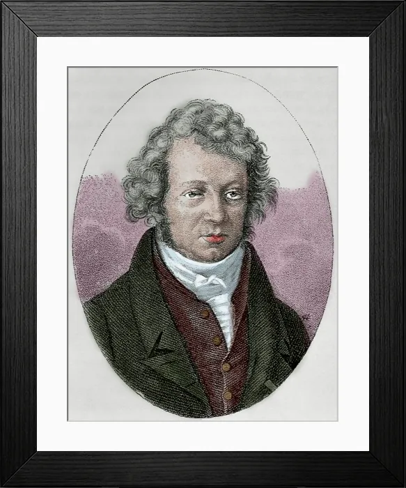 Framed Print : German writer Johann Wolfgang von Goethe, (19th century). Creator: Unknown Framed Print : German writer Johann Wolfgang von Goethe, (19th century). Creator: Unknown
