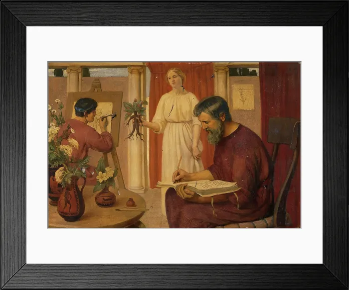 Framed Print : Dioscorides describing the mandrake, 1909. Creator: Ernest Board Framed Print : Dioscorides describing the mandrake, 1909. Creator: Ernest Board