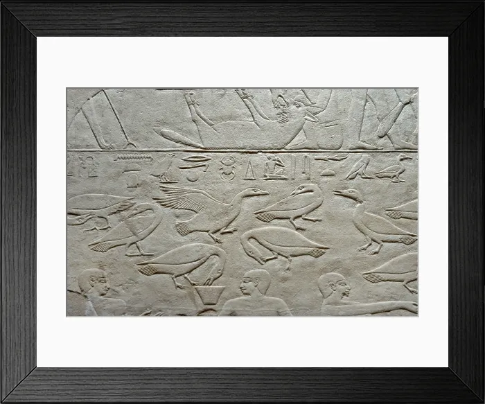Framed Print : Geese relief, Mastaba of Kagemni, Saqqara, Egypt, Old Kingdom, 6th Dynasty, 2350 BC (2003). Creator: Unknown Framed Print : Geese relief, Mastaba of Kagemni, Saqqara, Egypt, Old Kingdom, 6th Dynasty, 2350 BC (2003). Creator: Unknown