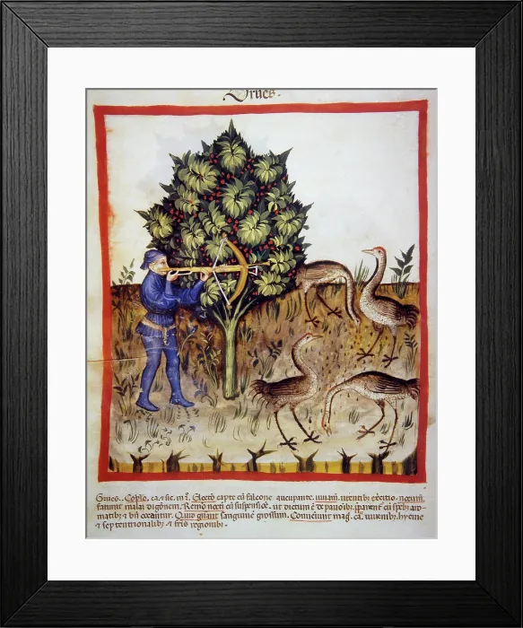 Framed Print : Hunting, 14th century. Creator: Unknown Framed Print : Hunting, 14th century. Creator: Unknown