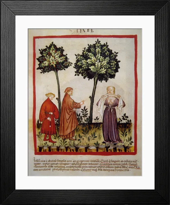 Framed Print : A man flies into a rage, 14th century. Creator: Unknown Framed Print : A man flies into a rage, 14th century. Creator: Unknown
