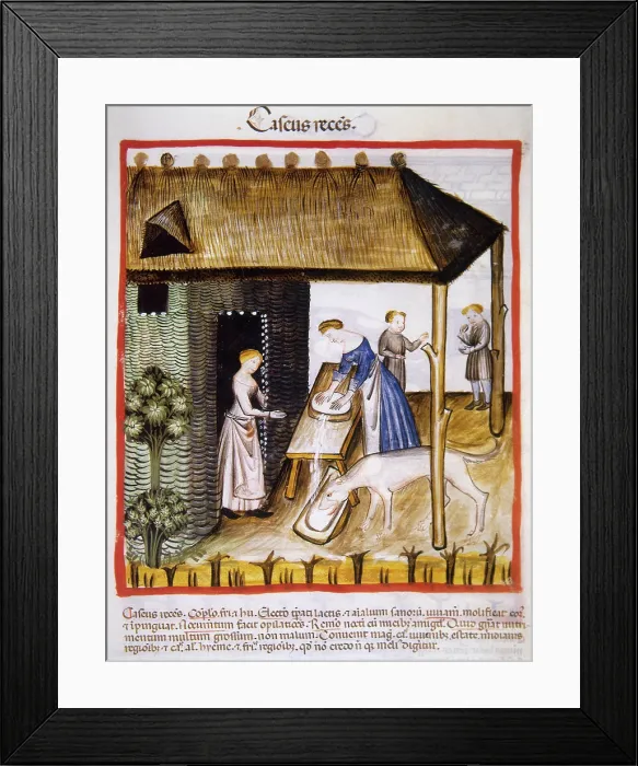 Framed Print : Fresh or unmatured cheese, 14th century. Creator: Unknown Framed Print : Fresh or unmatured cheese, 14th century. Creator: Unknown