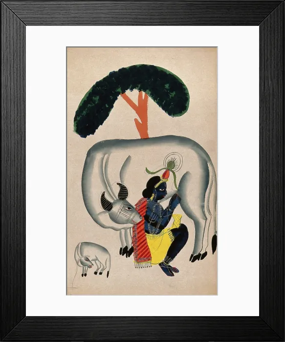 Framed Print : Krishna milking a cow while the calf looks. Creator: Unknown Framed Print : Krishna milking a cow while the calf looks. Creator: Unknown