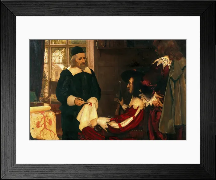 Framed Print : William Harvey demonstrating his theory of circulation of blood before Charles I, c1620s, 1910s. Creator: Ernest Board Framed Print : William Harvey demonstrating his theory of circulation of blood before Charles I, c1620s, 1910s. Creator: Ernest Board