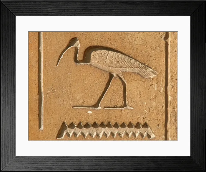 Framed Print : Ibis Hieroglyph, Mastaba of Kagemni, Saqqara, Egypt, Old Kingdom, 6th Dynasty, 2350 BC (2003). Creator: Unknown Framed Print : Ibis Hieroglyph, Mastaba of Kagemni, Saqqara, Egypt, Old Kingdom, 6th Dynasty, 2350 BC (2003). Creator: Unknown