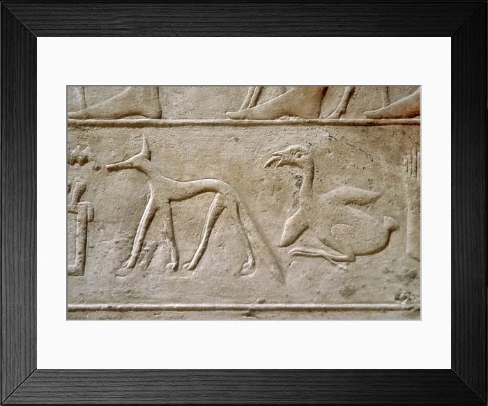 Framed Print : Duck and jackal, Hieroglyphic characters, Mastaba of Kagemni, Saqqara, Egypt, 2350 BC (2003). Creator: Unknown Framed Print : Duck and jackal, Hieroglyphic characters, Mastaba of Kagemni, Saqqara, Egypt, 2350 BC (2003). Creator: Unknown