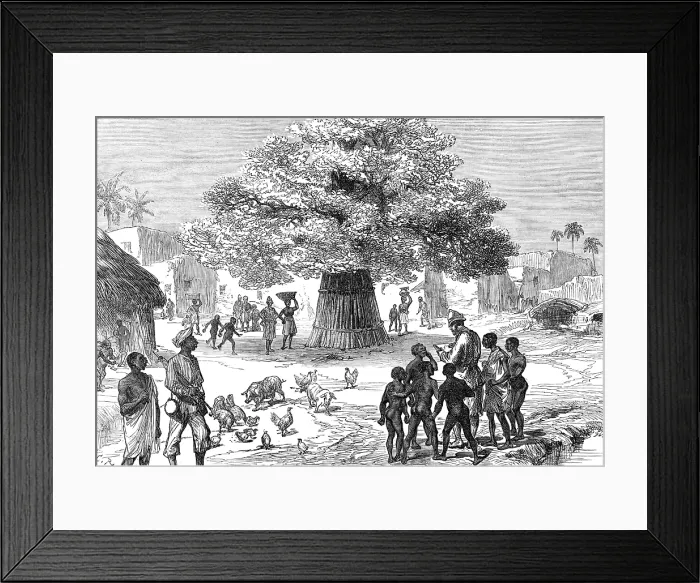 Framed Print : The Ashantee War: fetish tree in village near Cape Coast Castle...sketch by our special artist, 1874 Creator: Unknown Framed Print : The Ashantee War: fetish tree in village near Cape Coast Castle...sketch by our special artist, 1874 Creator: Unknown