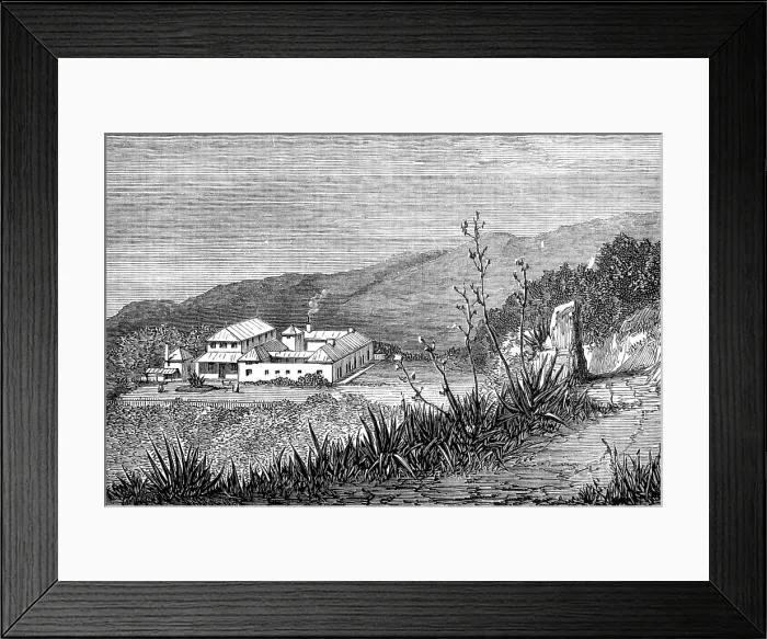Framed Print : Mountain Hospital, Ascension Island, 1874. Creator: Unknown Framed Print : Mountain Hospital, Ascension Island, 1874. Creator: Unknown