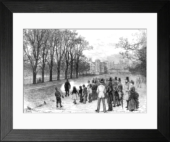 Framed Print : Marriage Festivities for the Duke of Edinburgh: firing a salute in the Long Walk, Windsor Park, 1874 Creator: Unknown Framed Print : Marriage Festivities for the Duke of Edinburgh: firing a salute in the Long Walk, Windsor Park, 1874 Creator: Unknown