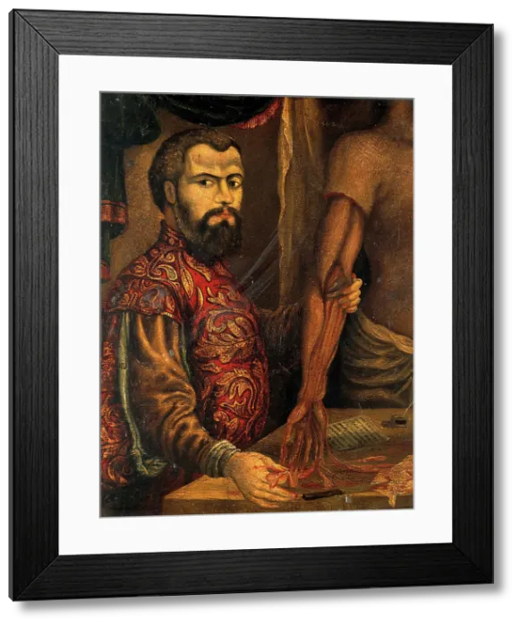 Framed Print : Andreas Vesalius. After a woodcut, c1550. Creator: Unknown Framed Print : Andreas Vesalius. After a woodcut, c1550. Creator: Unknown