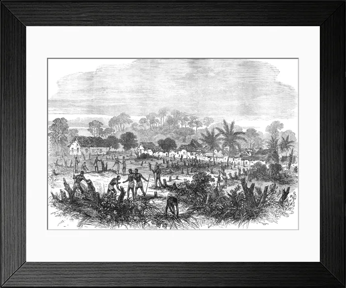 Framed Print : The Ashantee War: the battle-field of Abrakrampa - from a sketch by our special artist, 1874. Creator: Unknown Framed Print : The Ashantee War: the battle-field of Abrakrampa - from a sketch by our special artist, 1874. Creator: Unknown