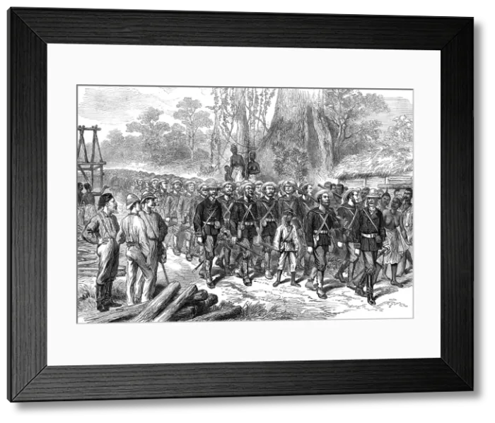 Framed Print : The Ashantee War: arrival of the Naval Brigade in Camp at Prahsu - by our special artist, 1874. Creator: Unknown Framed Print : The Ashantee War: arrival of the Naval Brigade in Camp at Prahsu - by our special artist, 1874. Creator: Unknown