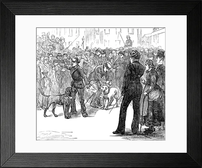 Framed Print : Metropolitan Boroughs election sketches: Whig and Tory, 1874. Creator: Unknown