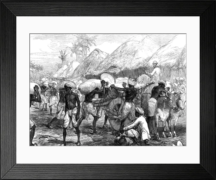 Framed Print : The Famine in Bengal: loading grain-carts near Calcutta, 1874. Creator: Unknown Framed Print : The Famine in Bengal: loading grain-carts near Calcutta, 1874. Creator: Unknown