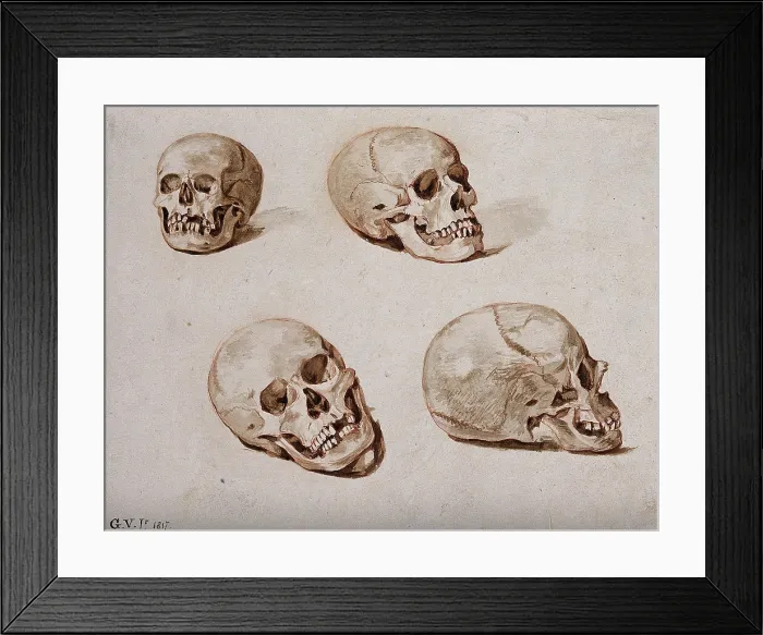 Framed Print : Four sketches of skulls, 1817. Creator: Unknown Framed Print : Four sketches of skulls, 1817. Creator: Unknown