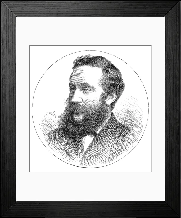 Framed Print : Lieutenant-Colonel Alexander, M.P. for South Ayrshire, 1874. Creator: Unknown Framed Print : Lieutenant-Colonel Alexander, M.P. for South Ayrshire, 1874. Creator: Unknown