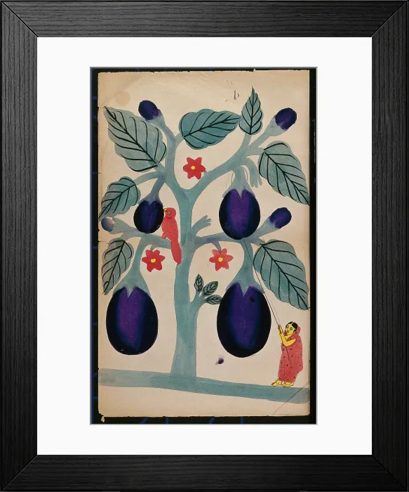 Framed Print : A woman pulling giant aubergines from a tree. Creator: Unknown