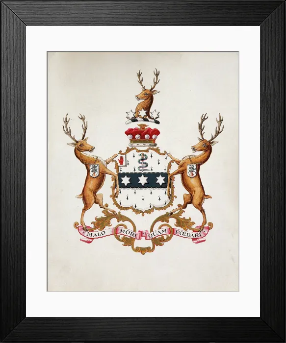 Framed Print : Achievement of arms of Joseph Lister, Baron Lister. Creator: Unknown Framed Print : Achievement of arms of Joseph Lister, Baron Lister. Creator: Unknown
