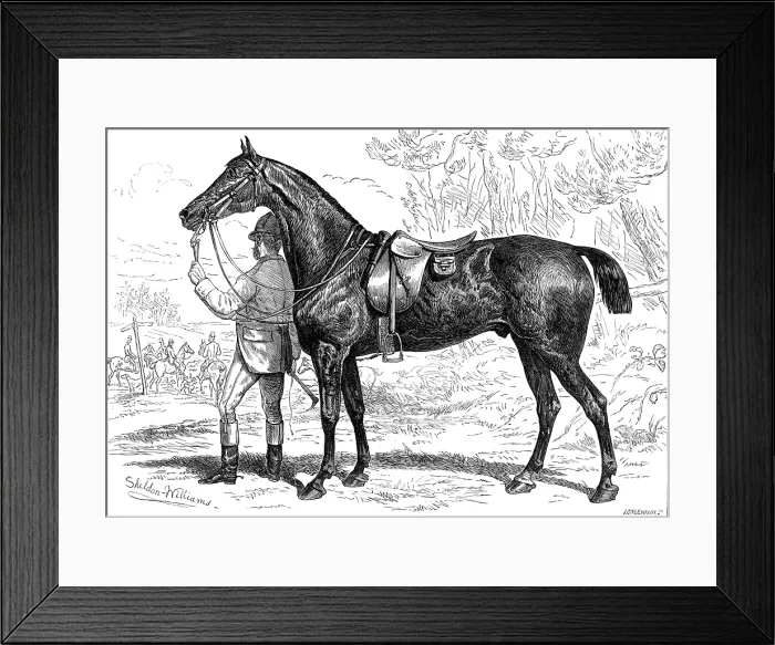 Framed Print : The Horse Show at the Agricultural Hall, Islington: Mr. W. Armstrong's hunter, Cashier, 1874. Creator: Unknown. The Horse Show at the Agricultural Hall, Islington: Mr. W. Armstrong's hunter, Cashier, 1874 Framed Print : The Horse Show at the Agricultural Hall, Islington: Mr. W. Armstrong's hunter, Cashier, 1874. Creator: Unknown. The Horse Show at the Agricultural Hall, Islington: Mr. W. Armstrong's hunter, Cashier, 1874