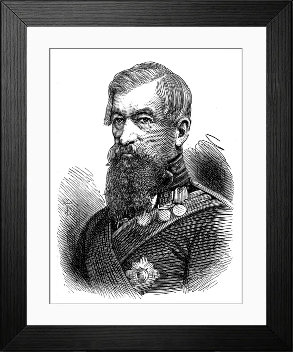 Framed Print : Sir Archdale Wilson, of Delhi, 1874. Creator: Unknown Framed Print : Sir Archdale Wilson, of Delhi, 1874. Creator: Unknown