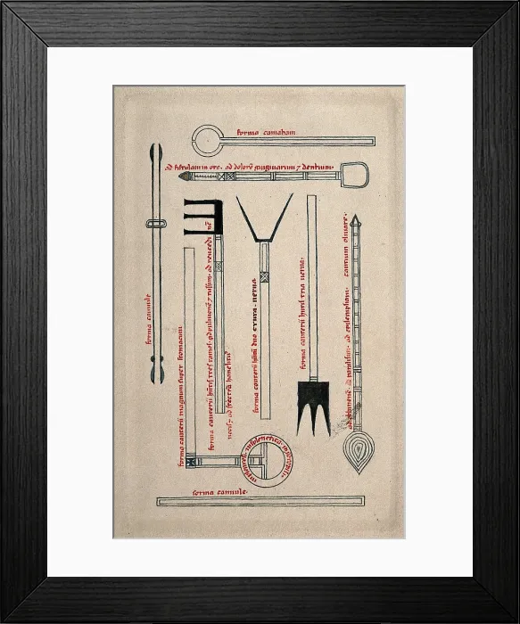 Framed Print : Surgical instruments, mainly cannulae. Creator: Unknown Framed Print : Surgical instruments, mainly cannulae. Creator: Unknown