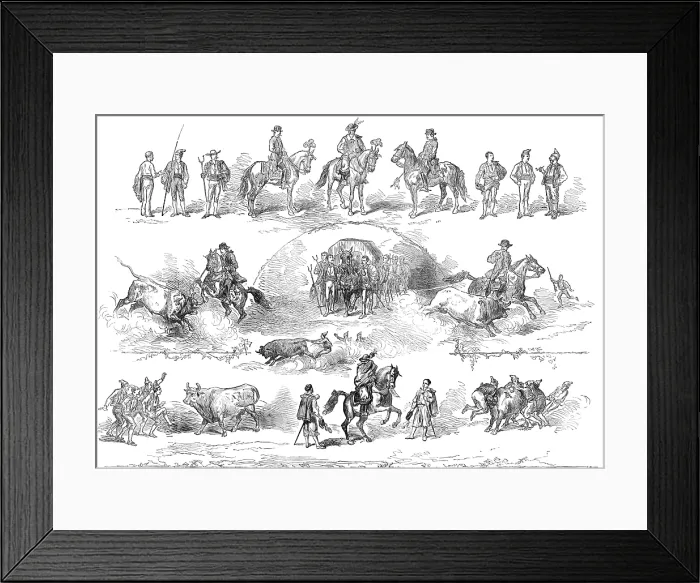 Framed Print : The performers in the bull-fight at Lisbon, 1874. Creator: Unknown Framed Print : The performers in the bull-fight at Lisbon, 1874. Creator: Unknown