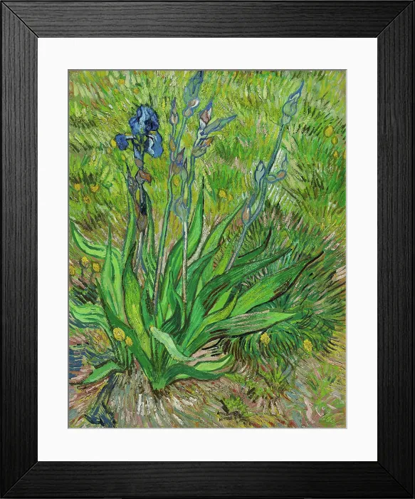 Framed Print : Iris, 1890. Creator: Gogh, Vincent, van (1853-1890) Framed Print : Iris, 1890. Creator: Gogh, Vincent, van (1853-1890)