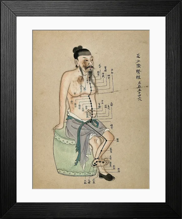 Framed Print : Acupuncture chart with a series of points indicated on the figure of a seated Chinese man, 1700-1799 Creator: Unknown Framed Print : Acupuncture chart with a series of points indicated on the figure of a seated Chinese man, 1700-1799 Creator: Unknown