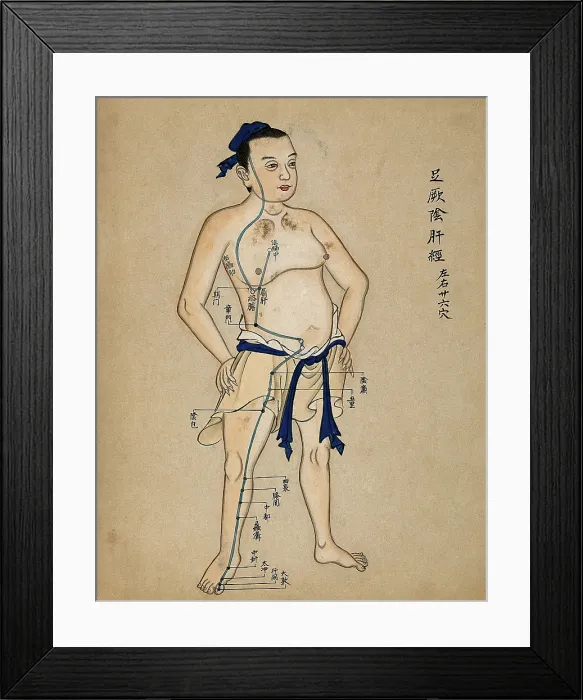 Framed Print : Acupuncture chart with a series of points indicated on the figure of a standing Chinese man, 1700-99 Creator: Unknown Framed Print : Acupuncture chart with a series of points indicated on the figure of a standing Chinese man, 1700-99 Creator: Unknown