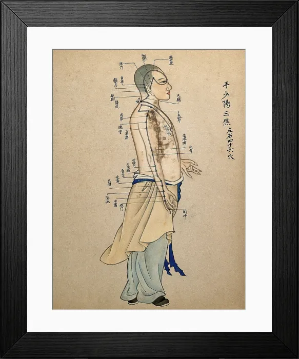 Framed Print : Acupuncture chart with a series of points indicated on the figure of a standing Chinese man. Creator: Unknown Framed Print : Acupuncture chart with a series of points indicated on the figure of a standing Chinese man. Creator: Unknown