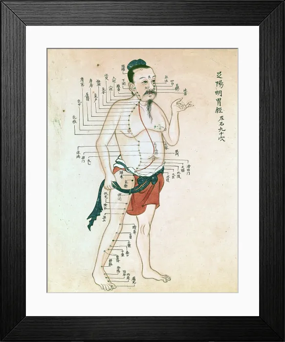Framed Print : Acupuncture chart with a series of points indicated on the figure of a standing Chinese man. Creator: Unknown Framed Print : Acupuncture chart with a series of points indicated on the figure of a standing Chinese man. Creator: Unknown