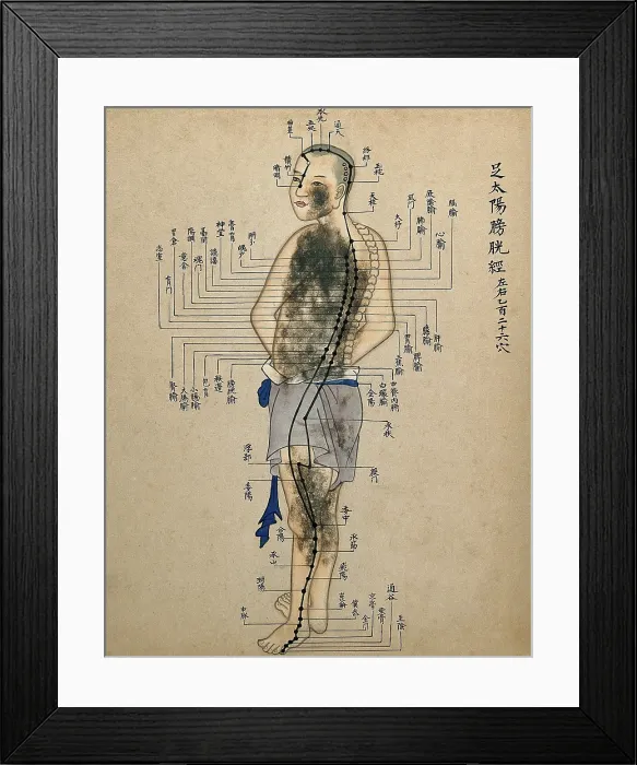 Framed Print : Acupuncture chart with a series of points indicated on the figure of a standing Chinese man. Creator: Unknown Framed Print : Acupuncture chart with a series of points indicated on the figure of a standing Chinese man. Creator: Unknown