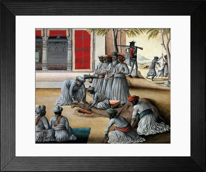 Framed Print : Indian men slaughtering a camel; a sheep being skinned in the background. Creator: Unknown Framed Print : Indian men slaughtering a camel; a sheep being skinned in the background. Creator: Unknown