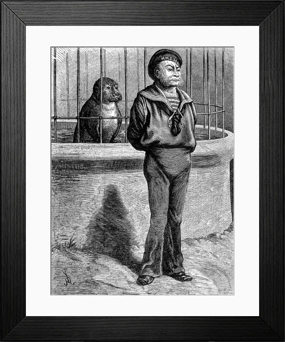 Framed Print : Odd Sketches at the Zoological Gardens: Messmates, 1881. Creator: Unknown Framed Print : Odd Sketches at the Zoological Gardens: Messmates, 1881. Creator: Unknown