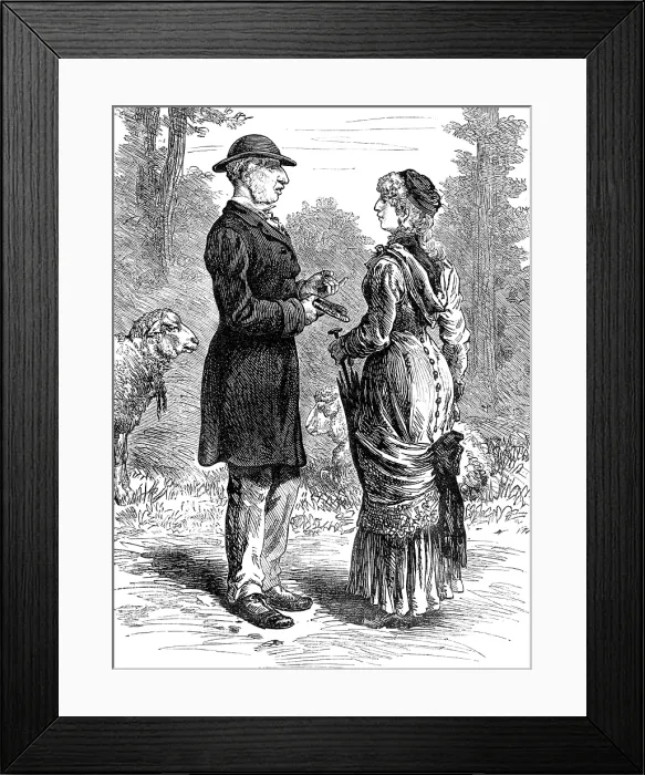 Framed Print : Odd Sketches at the Zoological Gardens: Wool-Gatherers, 1881. Creator: Unknown Framed Print : Odd Sketches at the Zoological Gardens: Wool-Gatherers, 1881. Creator: Unknown