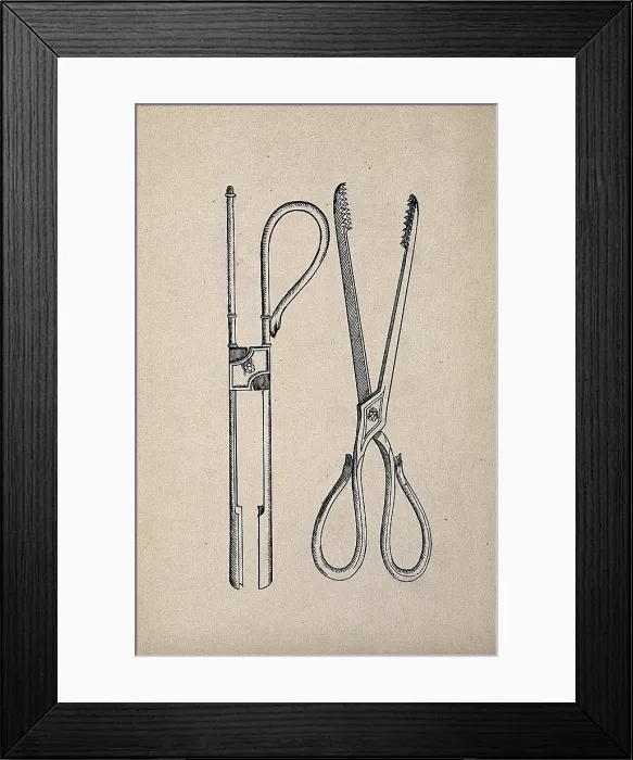 Framed Print : Surgical instruments. Creator: Unknown Framed Print : Surgical instruments. Creator: Unknown