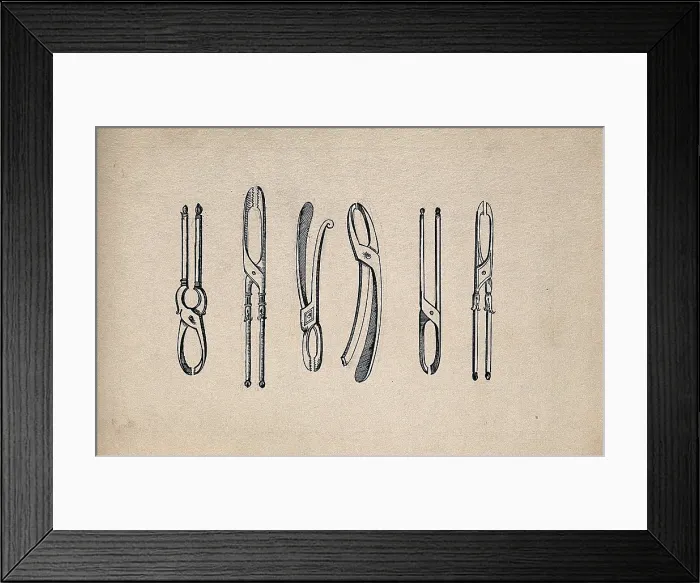 Framed Print : Surgical instruments. Creator: Unknown Framed Print : Surgical instruments. Creator: Unknown