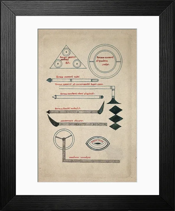 Framed Print : Surgical instruments, mainly cauterising needles and irons. Creator: Unknown Framed Print : Surgical instruments, mainly cauterising needles and irons. Creator: Unknown