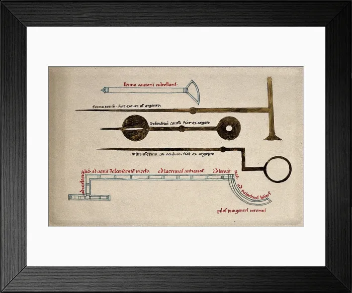 Framed Print : Surgical instruments, including cauterising needles. Creator: Unknown Framed Print : Surgical instruments, including cauterising needles. Creator: Unknown