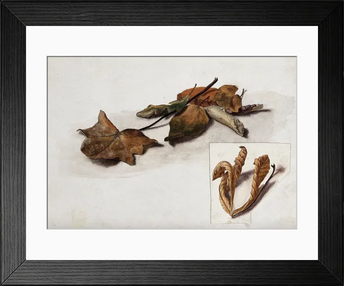 Framed Print : A group of dead leaves, c19th century. Creator: Unknown Framed Print : A group of dead leaves, c19th century. Creator: Unknown