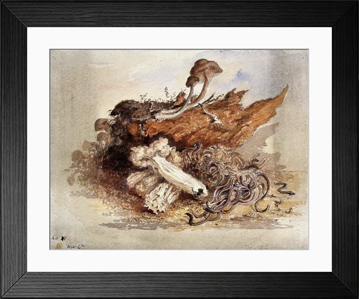 Framed Print : A group of fungi, possibly including Clavaria and Agaricus species, c19th century. Creator: Unknown Framed Print : A group of fungi, possibly including Clavaria and Agaricus species, c19th century. Creator: Unknown