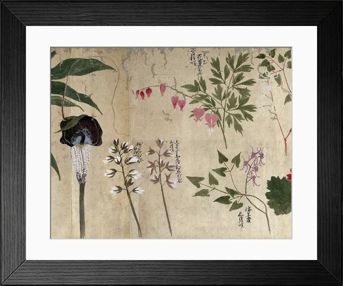 Framed Print : Five flowering plants, one possibly a voodoo lily (Sauromatum venosum), 1870. Creator: Unknown Framed Print : Five flowering plants, one possibly a voodoo lily (Sauromatum venosum), 1870. Creator: Unknown