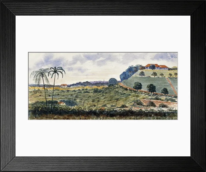 Framed Print : Singapore: a hill known as Mount Echo, 1879. Creator: John Edmund Taylor Framed Print : Singapore: a hill known as Mount Echo, 1879. Creator: John Edmund Taylor