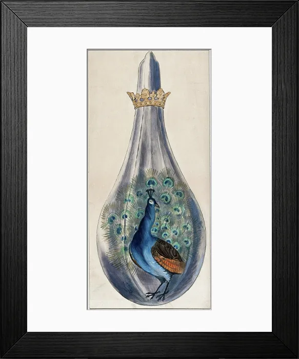 Framed Print : A peacock in a crowned alchemical flask; representing the stage in the alchemical... 1900-1909. Creator: Edith Annie Ibbs Framed Print : A peacock in a crowned alchemical flask; representing the stage in the alchemical... 1900-1909. Creator: Edith Annie Ibbs