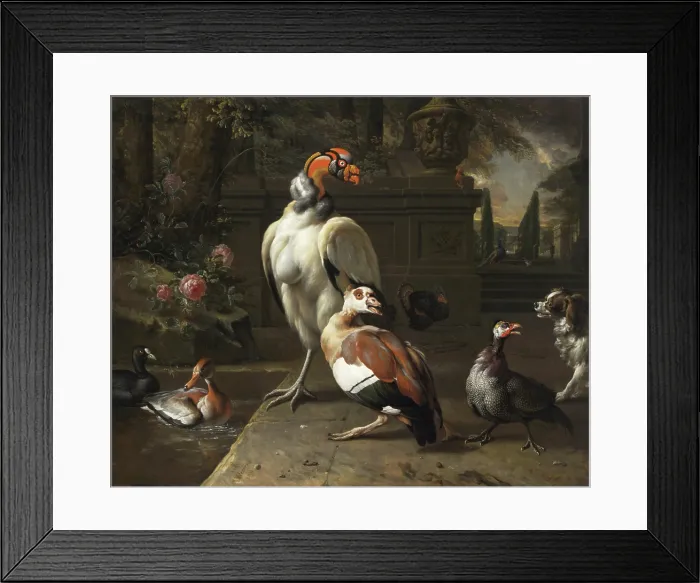 Framed Print : Exotic Birds in a Park, 1702. Creator: Weenix, Jan, the Younger (1642-1719) Framed Print : Exotic Birds in a Park, 1702. Creator: Weenix, Jan, the Younger (1642-1719)