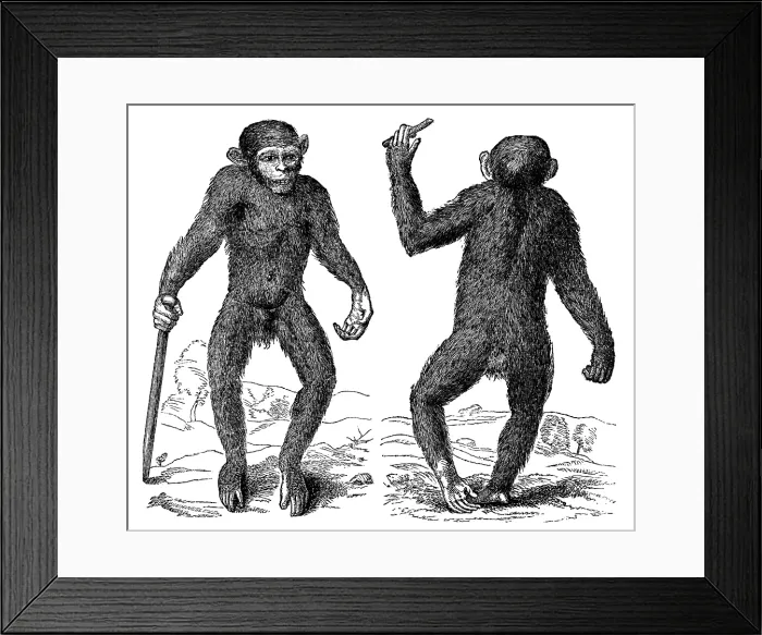 Framed Print : The Pygmie, 1699, (1863). Creator: Unknown Framed Print : The Pygmie, 1699, (1863). Creator: Unknown